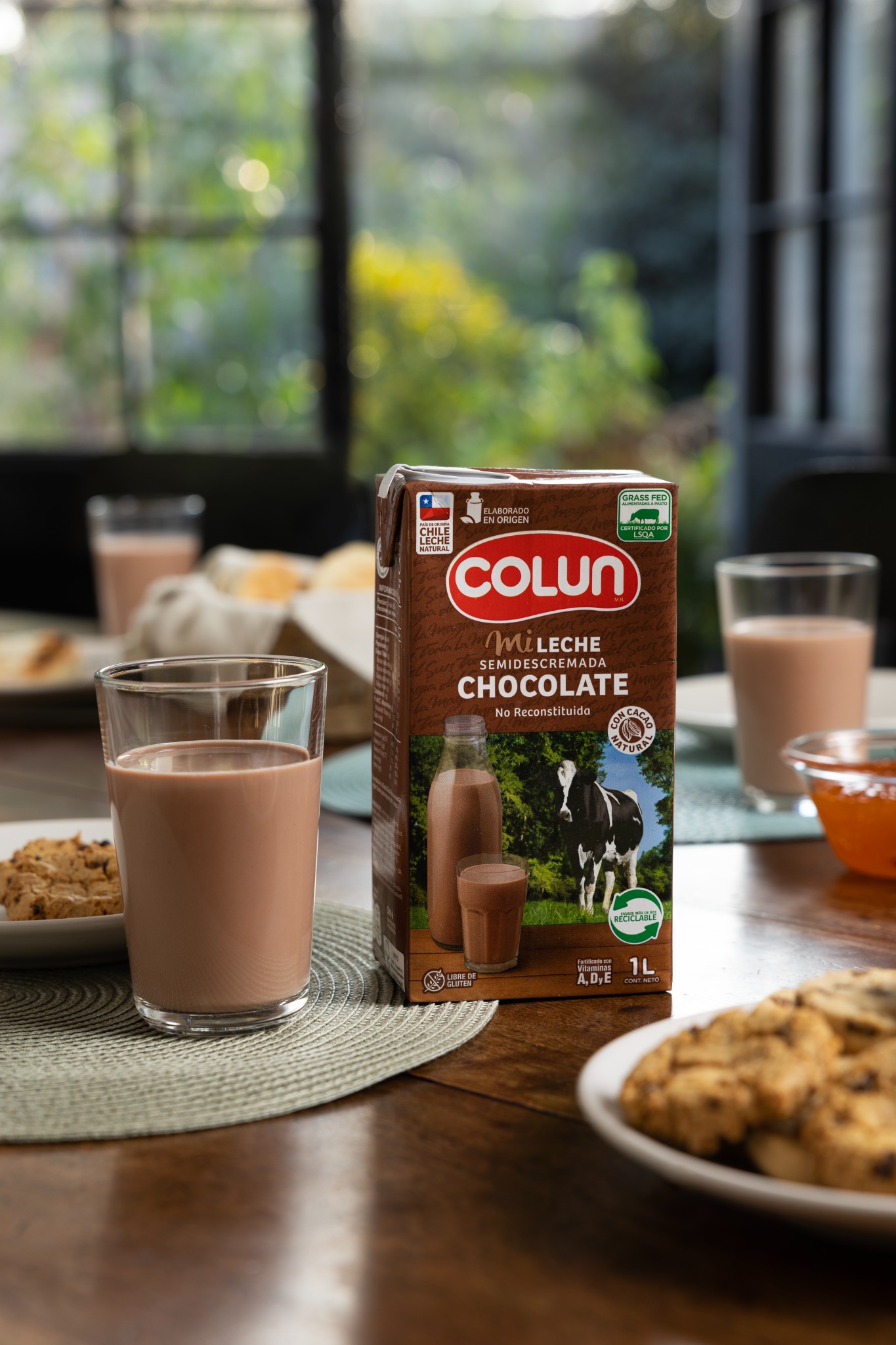 Fotografía de Leche Chocolate Colun